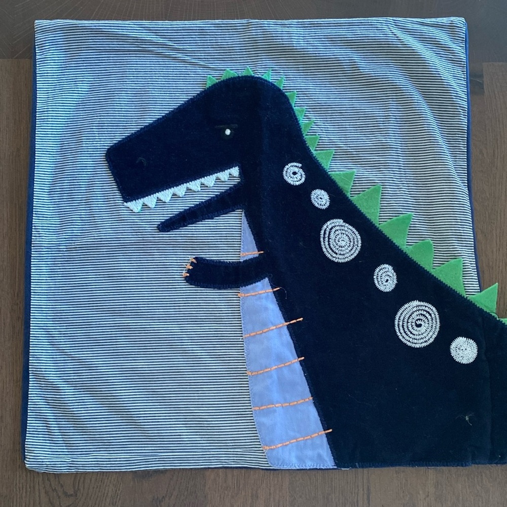 Pottery Barn Kids Pillow Shame